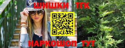 индика Кулебаки