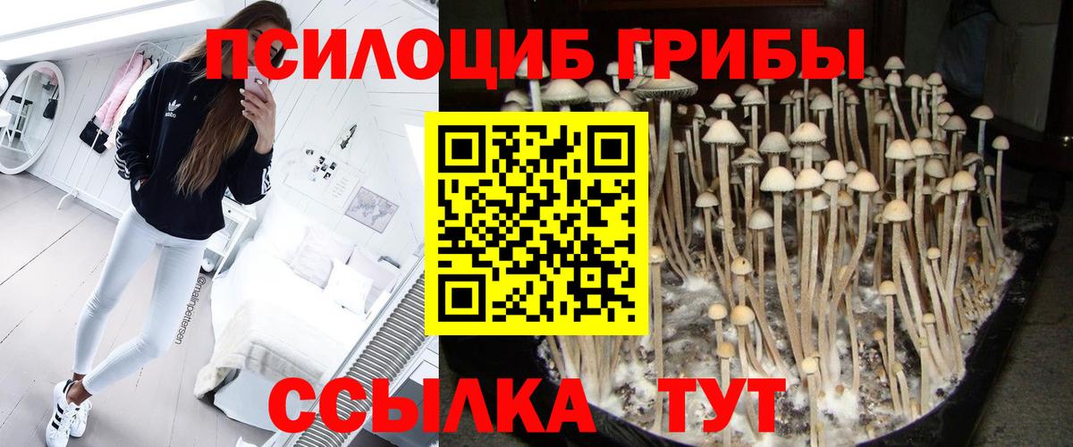 Псилоцибиновые грибы мицелий Чебаркуль